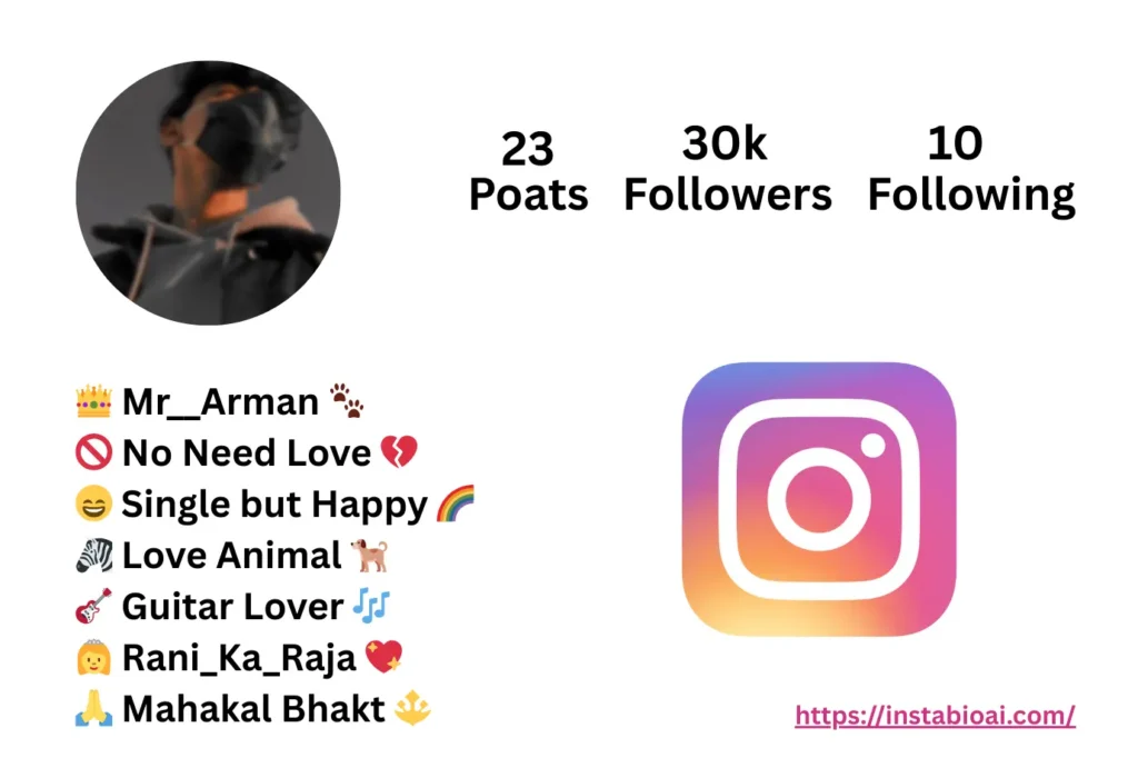 Instagram Bio For Boys