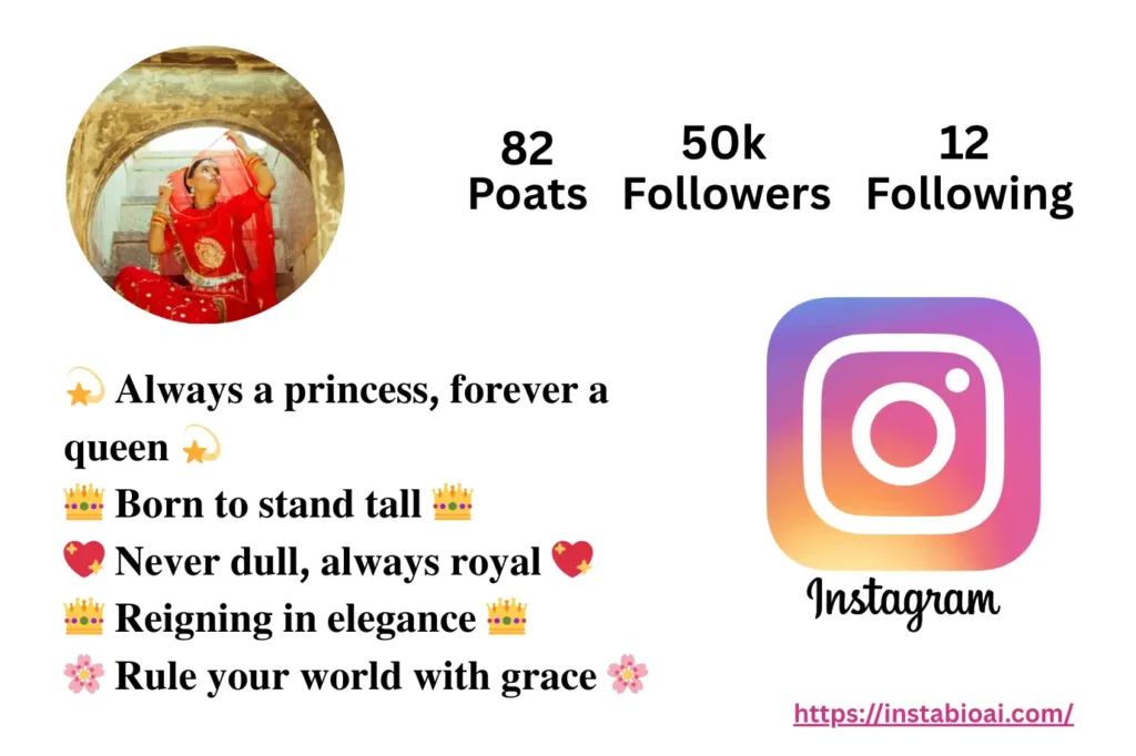 Baisa Bio For Instagram