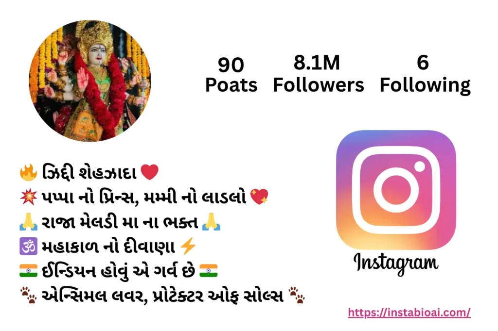 Instagram Bio Raja Meldi Maa