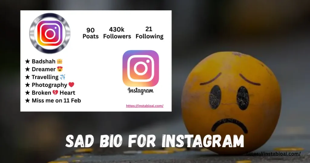Sad Bio For Instagram
